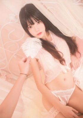 狐狸的春天_HD高清视频播放
